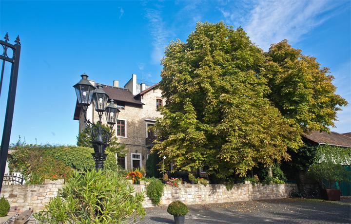 Landhotel Battenheimer Hof Bodenheim Dış mekan fotoğraf